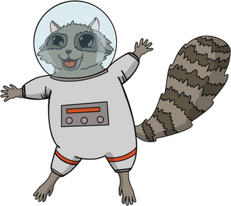 Space raccoon